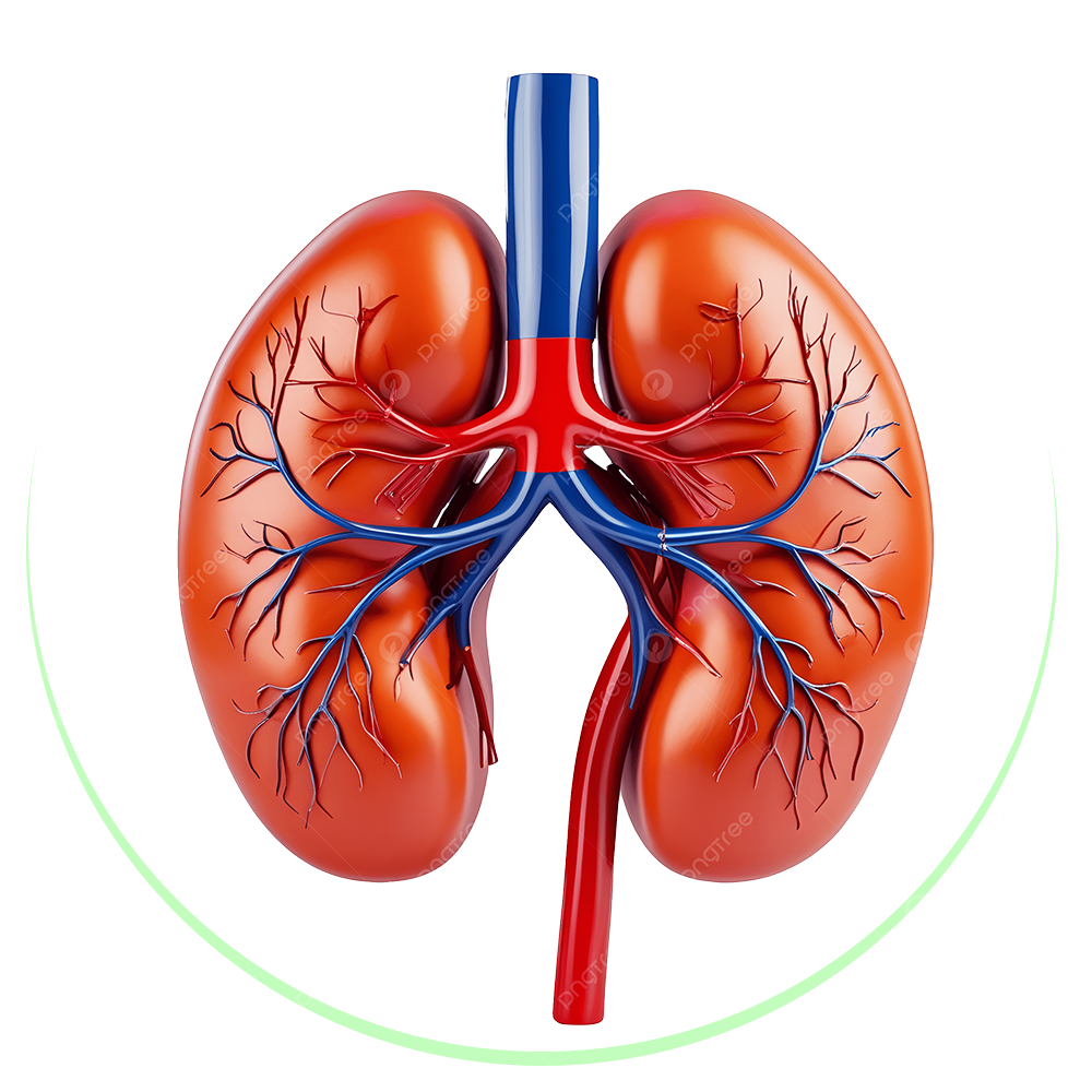 Diabetes & Kidney Disorders
