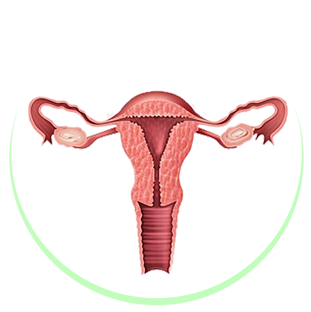 PCOD, Infertility & Women’s Disorders