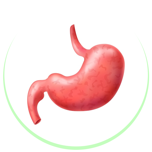 Acidity, Gastric & Digestive Issues